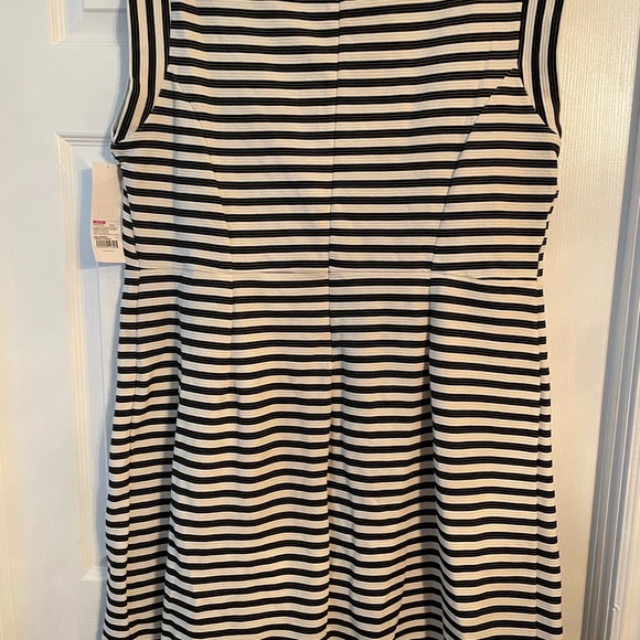 Liz Lange Maternity Sleeveless Stripe Dress - Picture 5 of 6